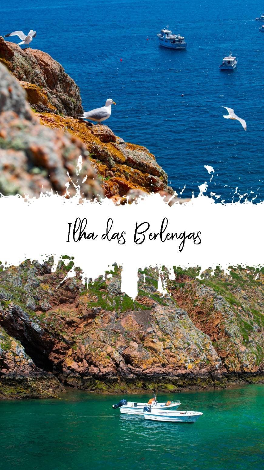 Place Berlengas Natural Reserve