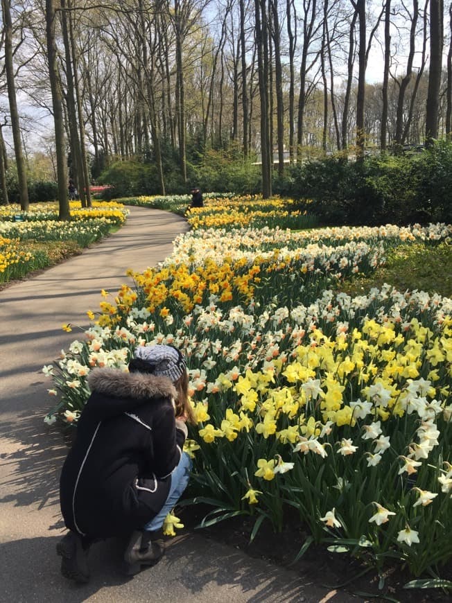 Place Keukenhof