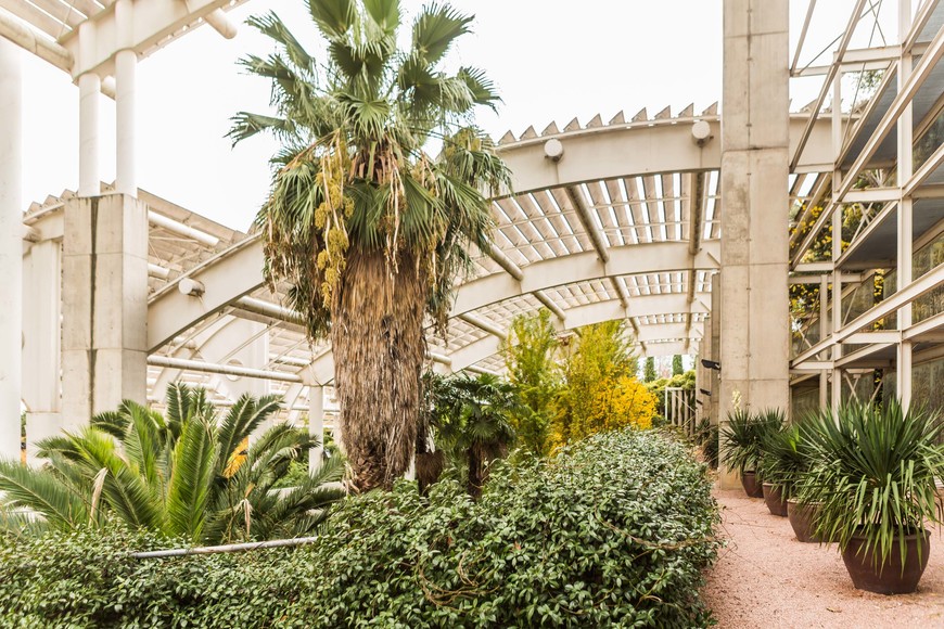 Place Estufa Fría del Parque Juan Carlos I