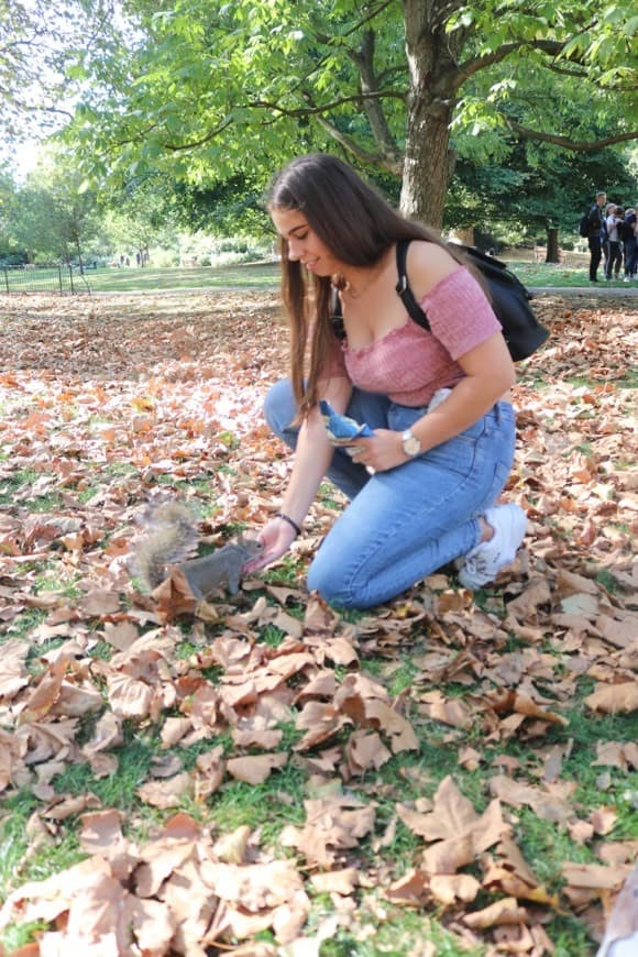 Place St. James's Park