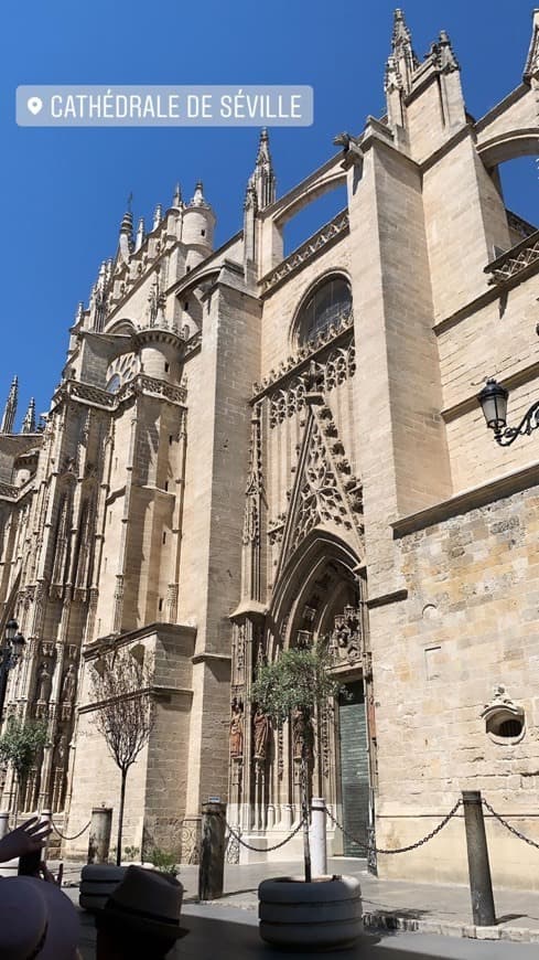 Place Catedral de Sevilla