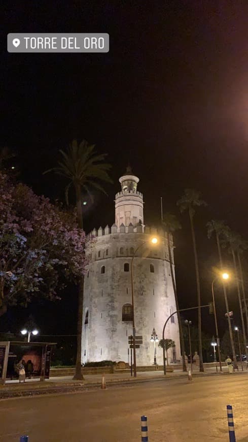 Place Torre del Oro