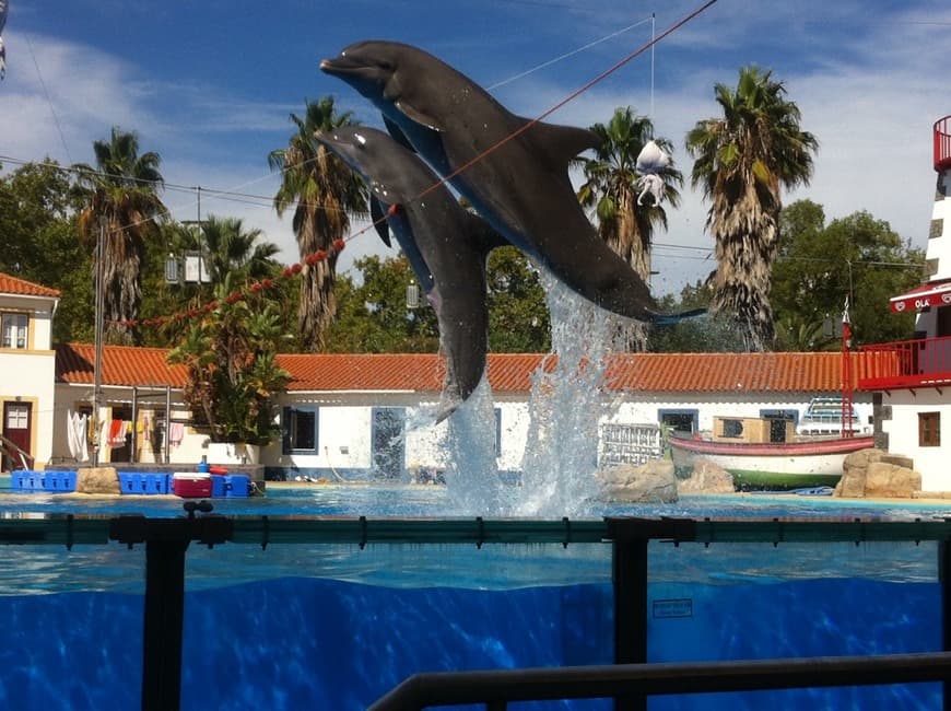 Lugar Jardim Zoológico de Lisboa