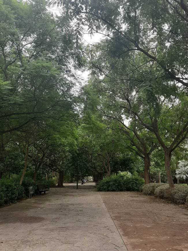 Lugar Parque Rio