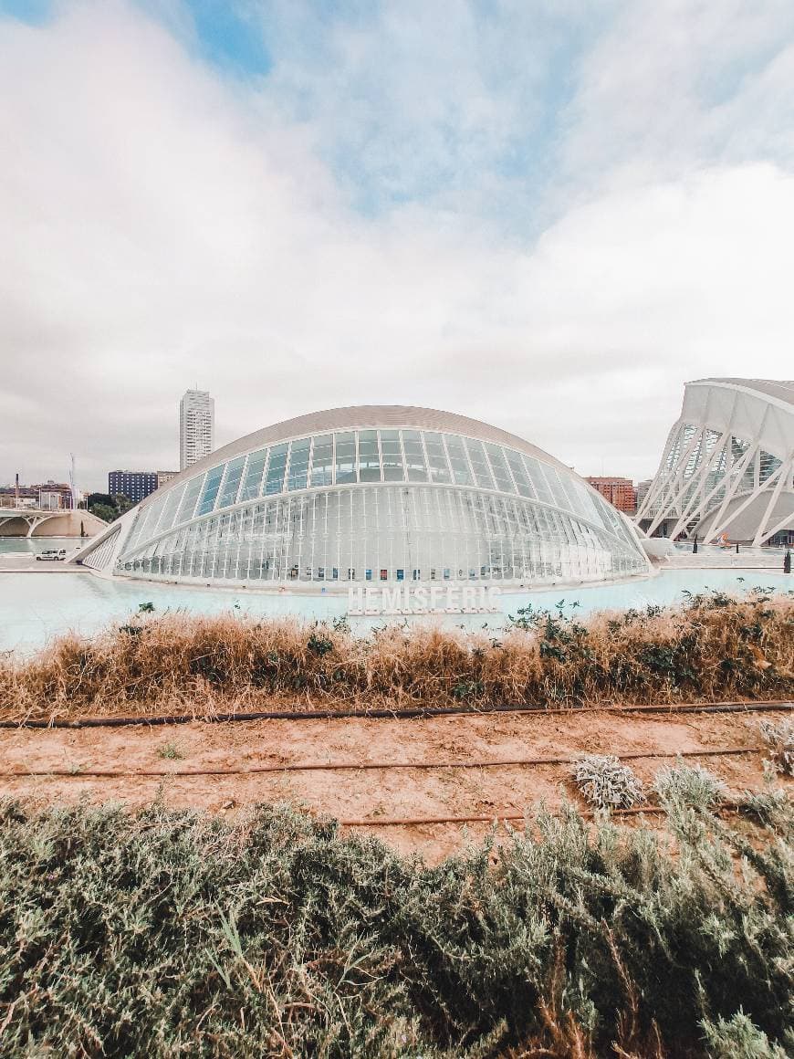 Place Ciudad de las Artes y las Ciencias