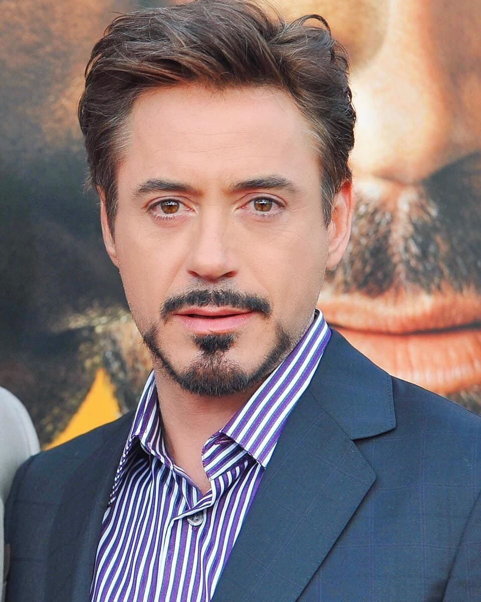 Película Robert Downey Jr.