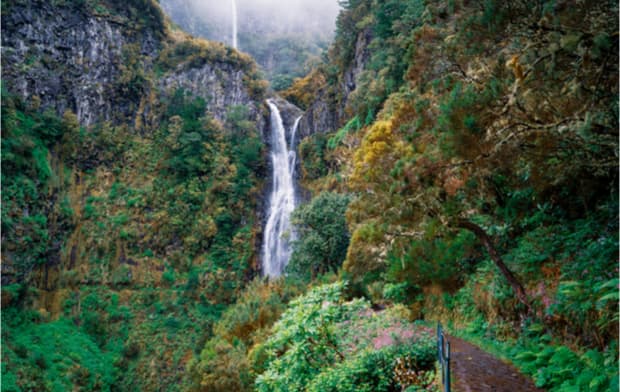 Place Levada das 25 Fontes (rear exit / tunnel)