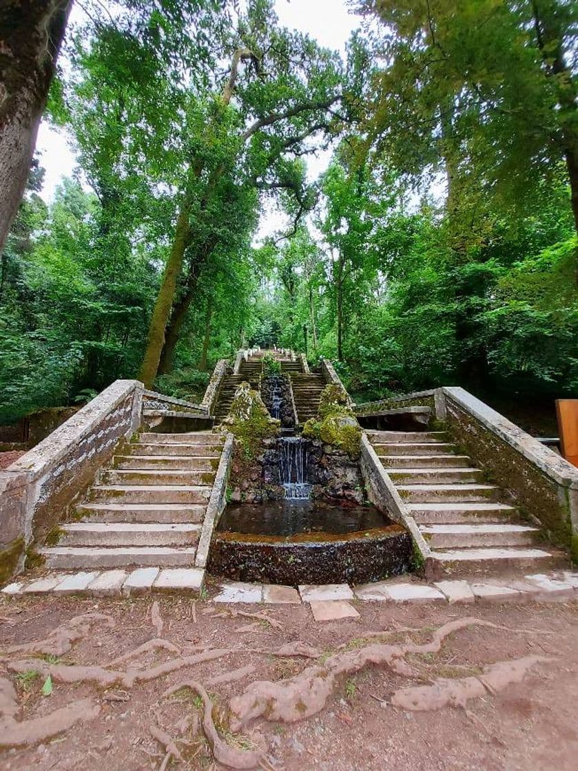 Place Serra do Buçaco