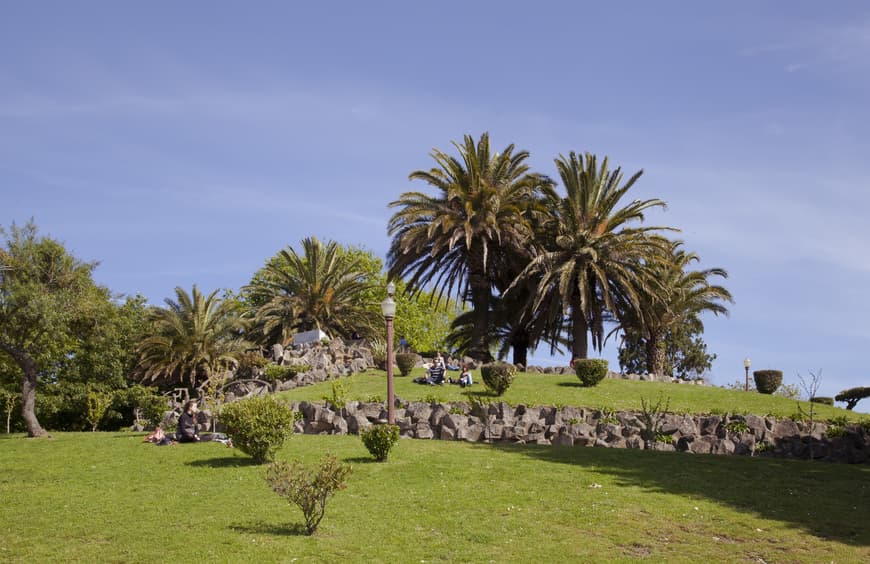 Lugar Jardim do Morro