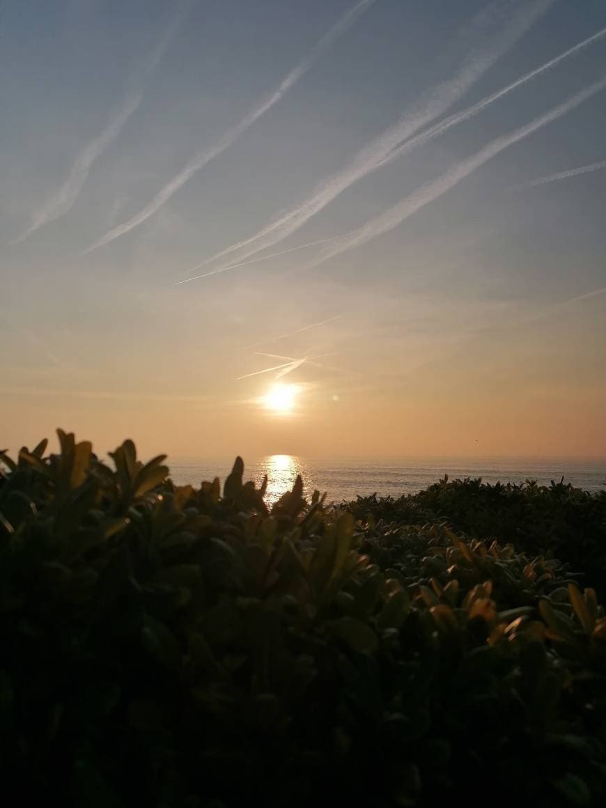 Lugar Leça da Palmeira Beach