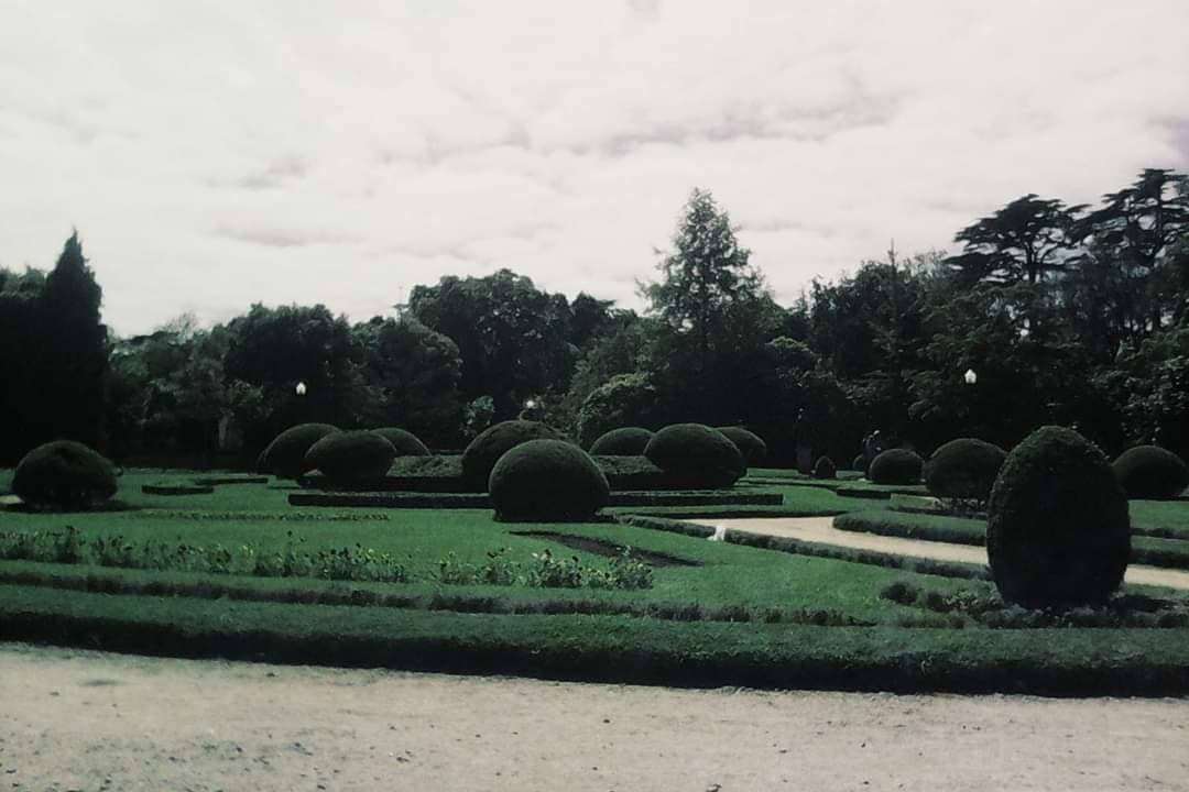 Lugar Jardins do Palácio de Cristal