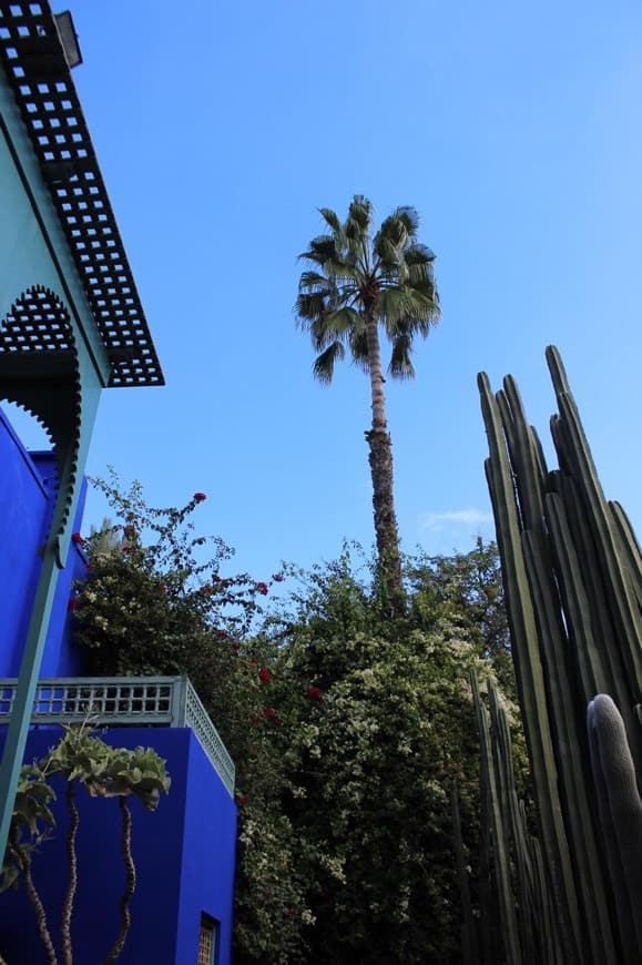 Place Jardín Majorelle