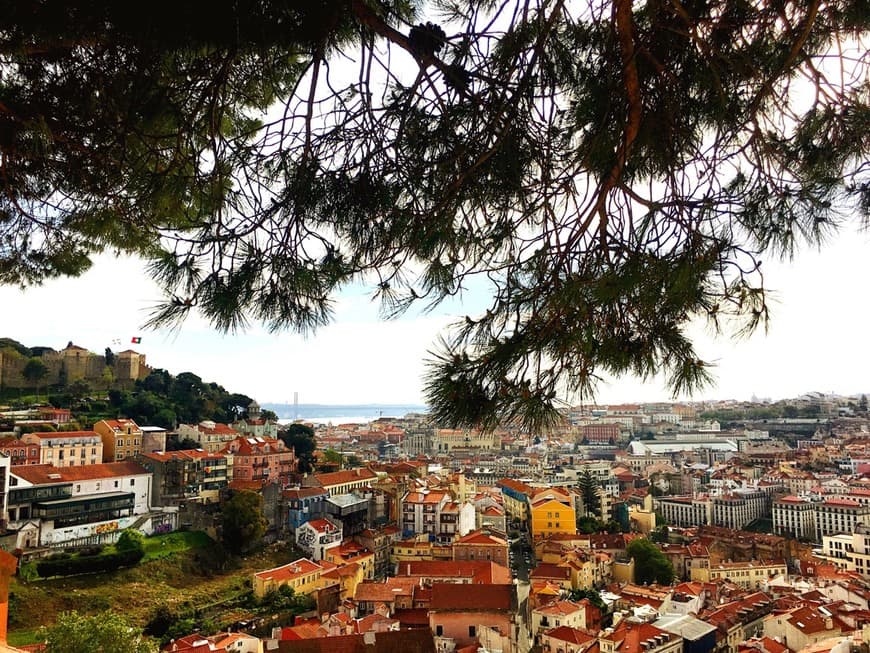 Place Jardim da Cerca da Graça