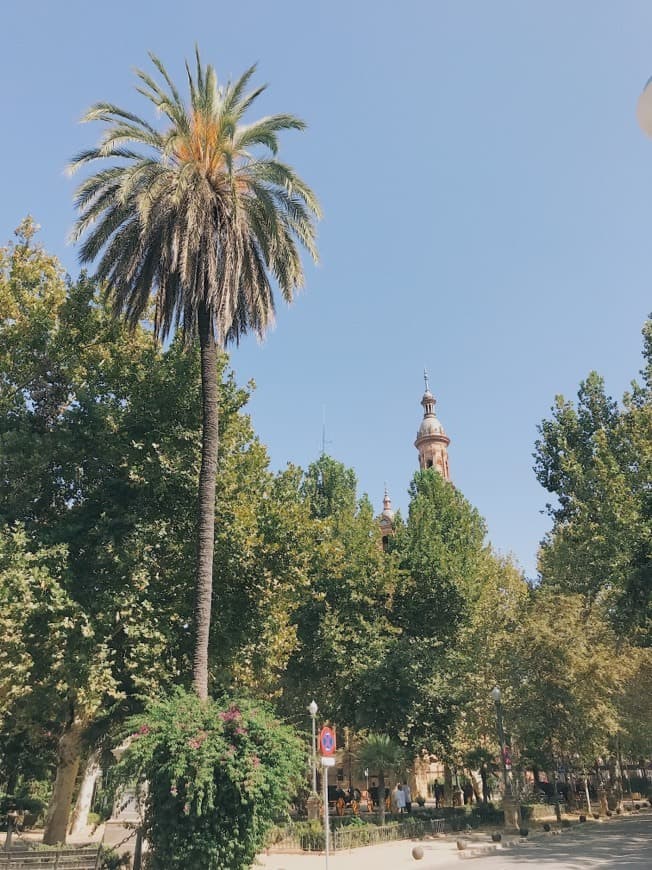 Place Parque de María Luisa