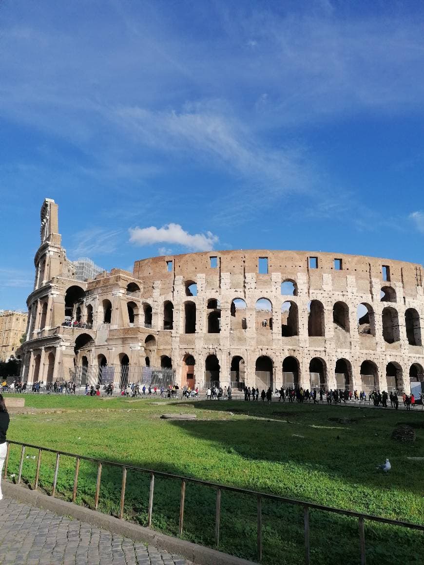 Place Coliseo de Roma