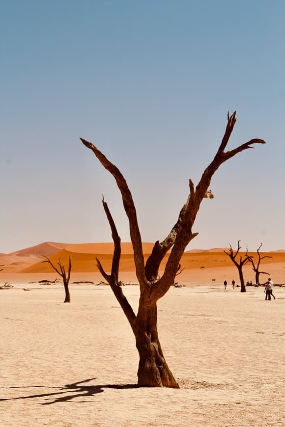 Place Sossusvlei