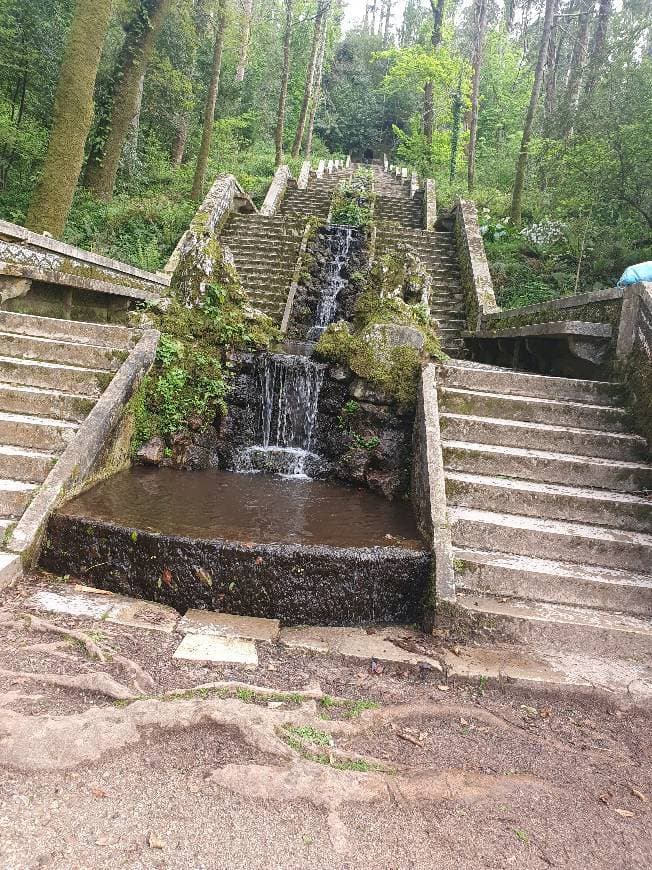 Place Fundação Mata do Bussaco