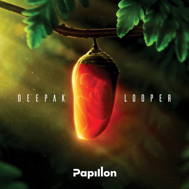 Music Deepak Looper