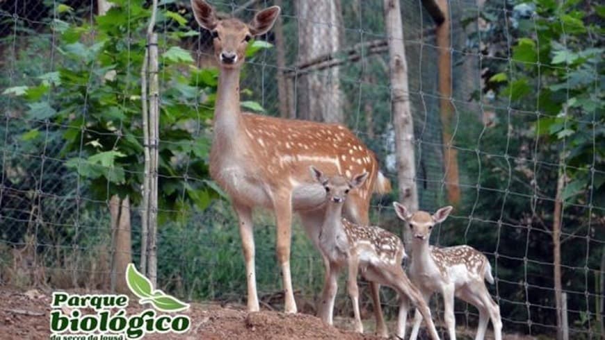 Lugar Parque Biológico Serra da Lousã