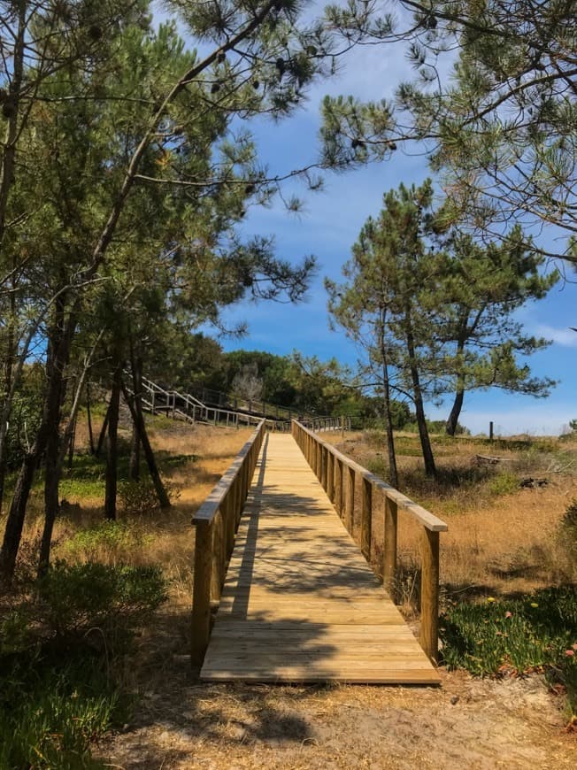 Lugar Reserva Natural das Dunas de São Jacinto