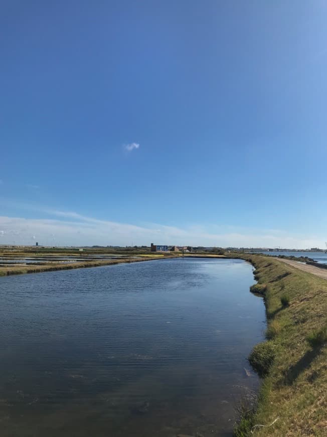 Lugar Salinas de Aveiro