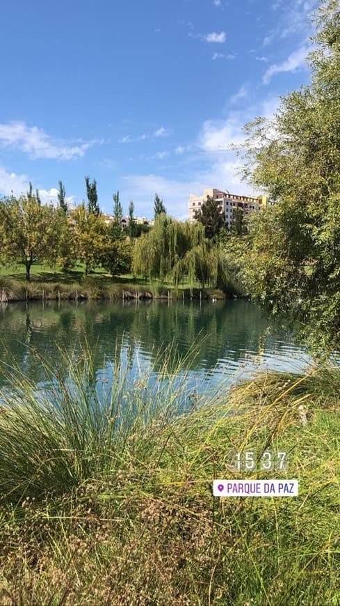 Lugar Parque da Paz