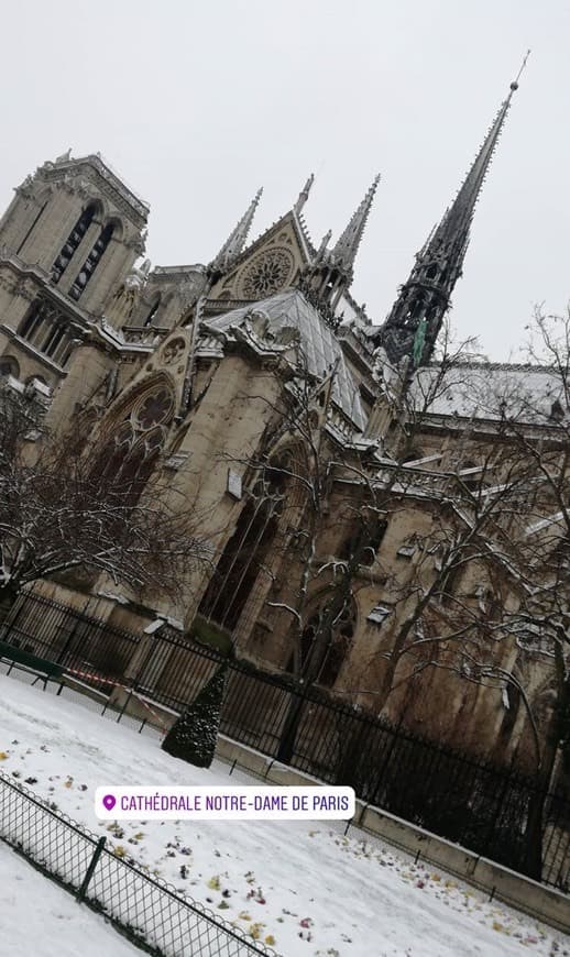 Place Notre Dame