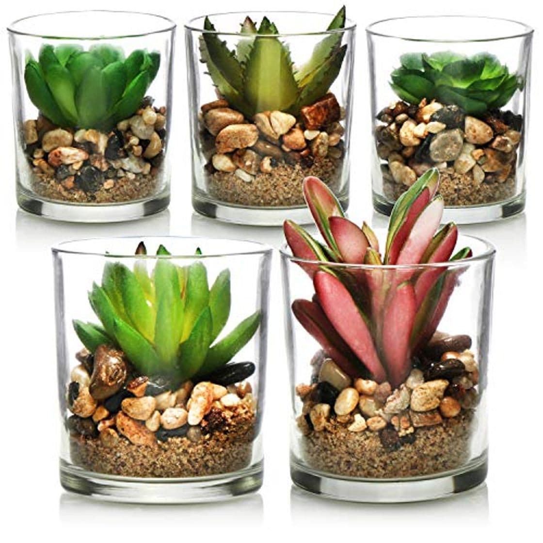 Producto com-four® Planta Artificial 5X - en Vidrio Decorativo - suculentas Artificiales -