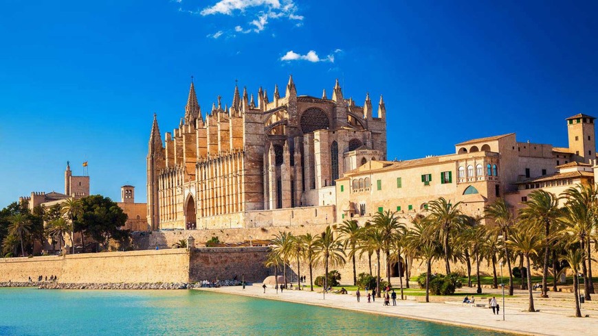 Place Catedral-Basílica de Santa María de Mallorca