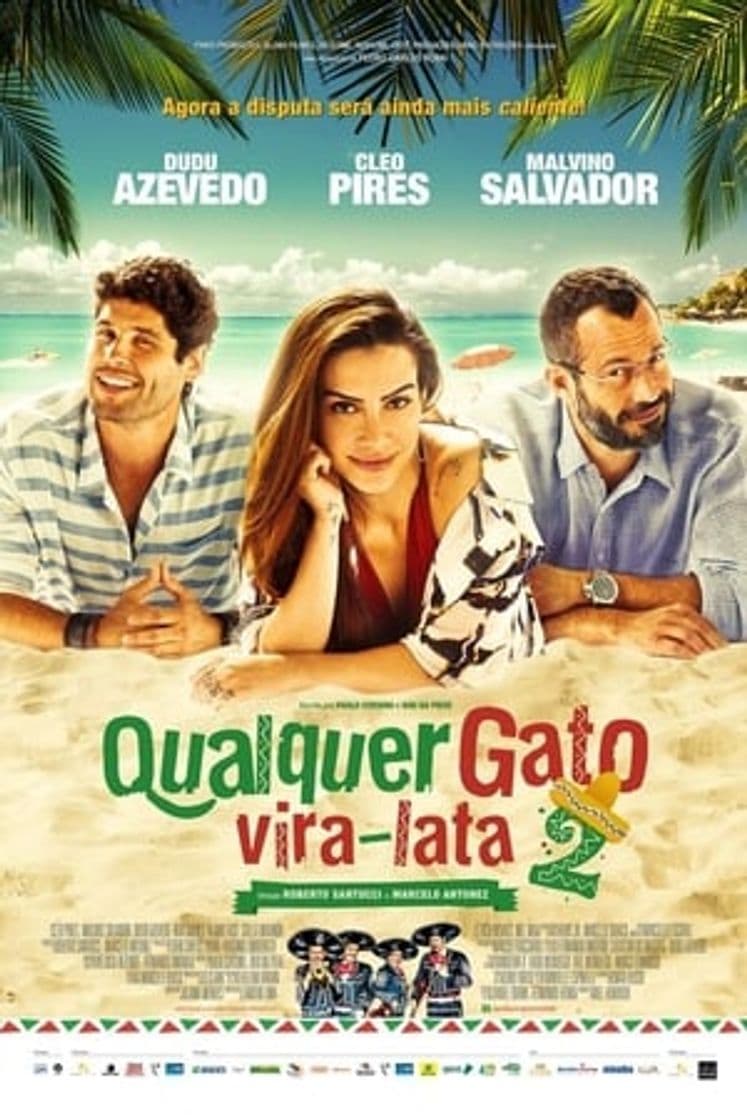 Película Qualquer Gato Vira-Lata 2