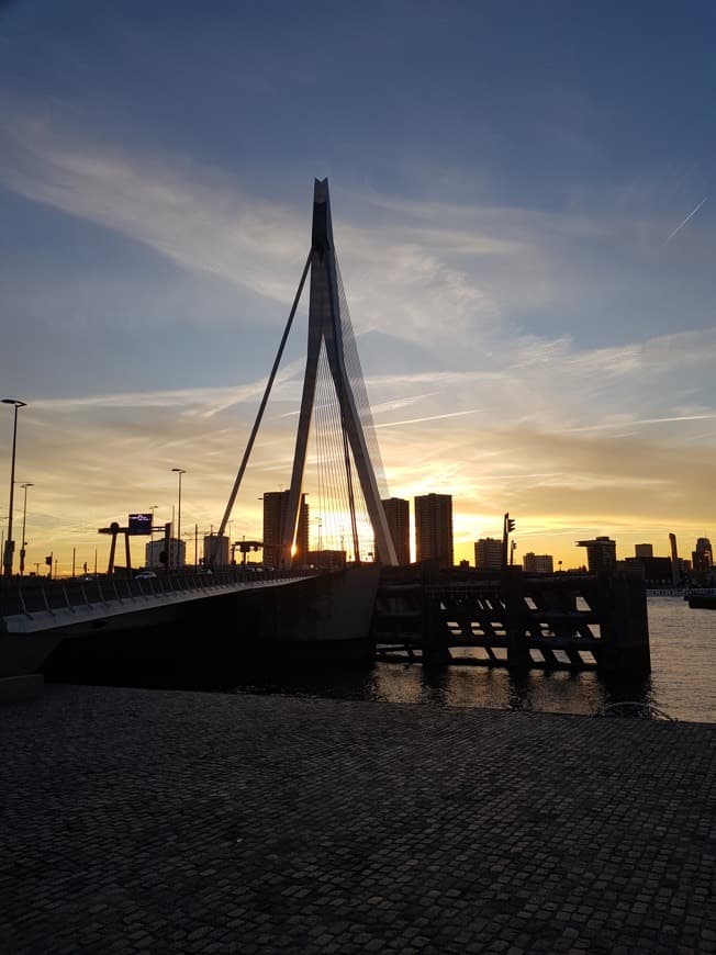 Place Erasmusbrug