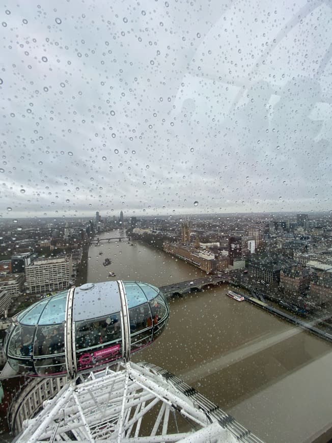 Place London Eye