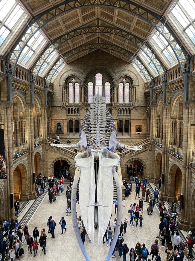 Place Natural History Museum