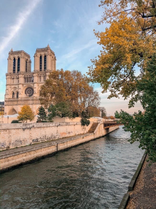 Place París