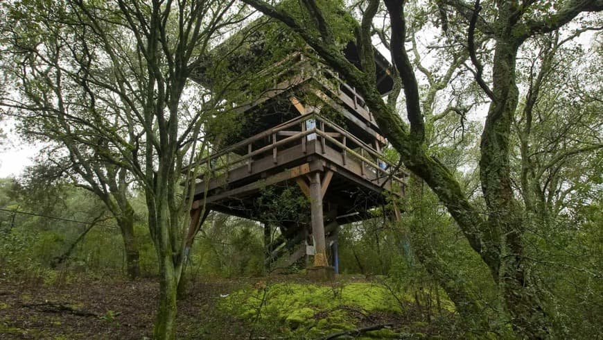 Place Parque Florestal do Monsanto