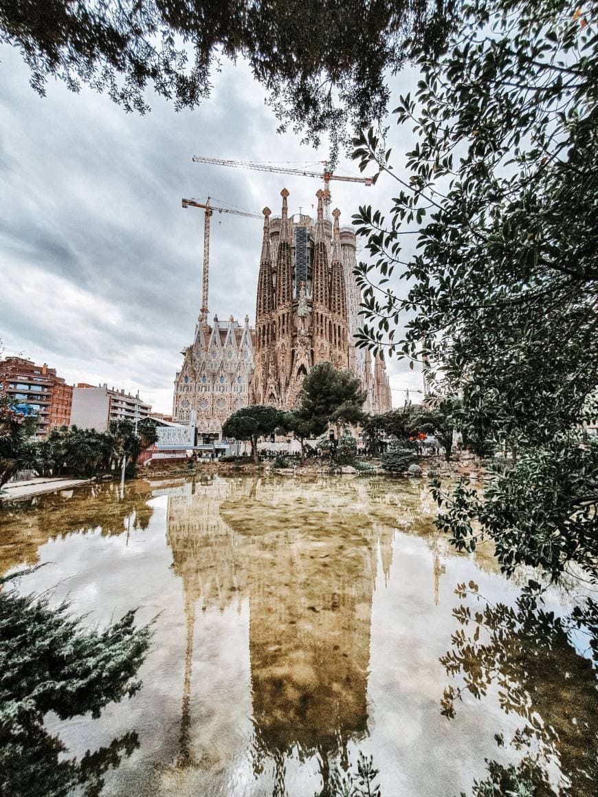 Lugar Basílica Sagrada Familia