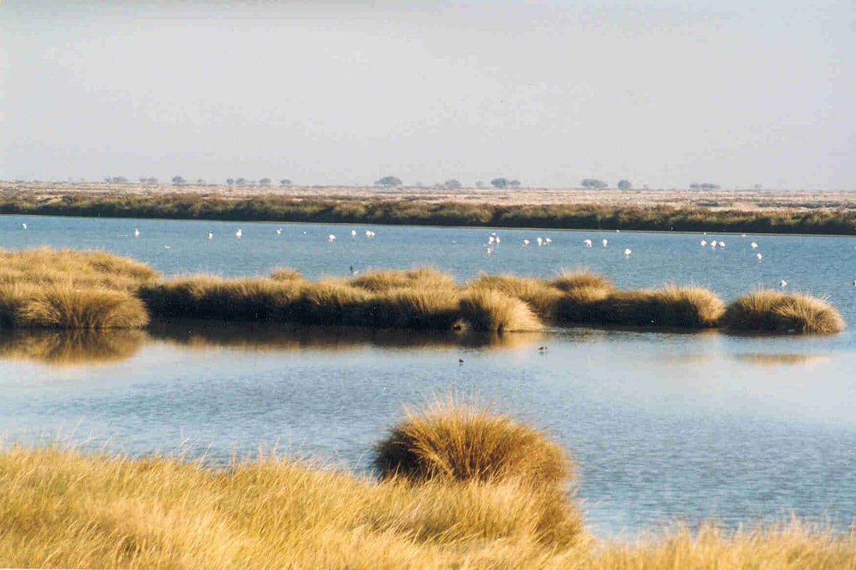 Lugar Doñana