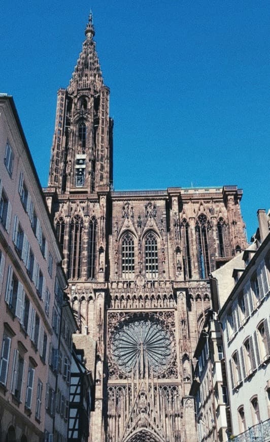 Place Catedral de Estrasburgo