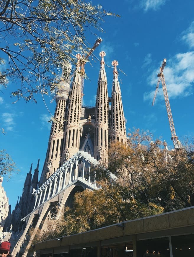 Place Basílica Sagrada Familia