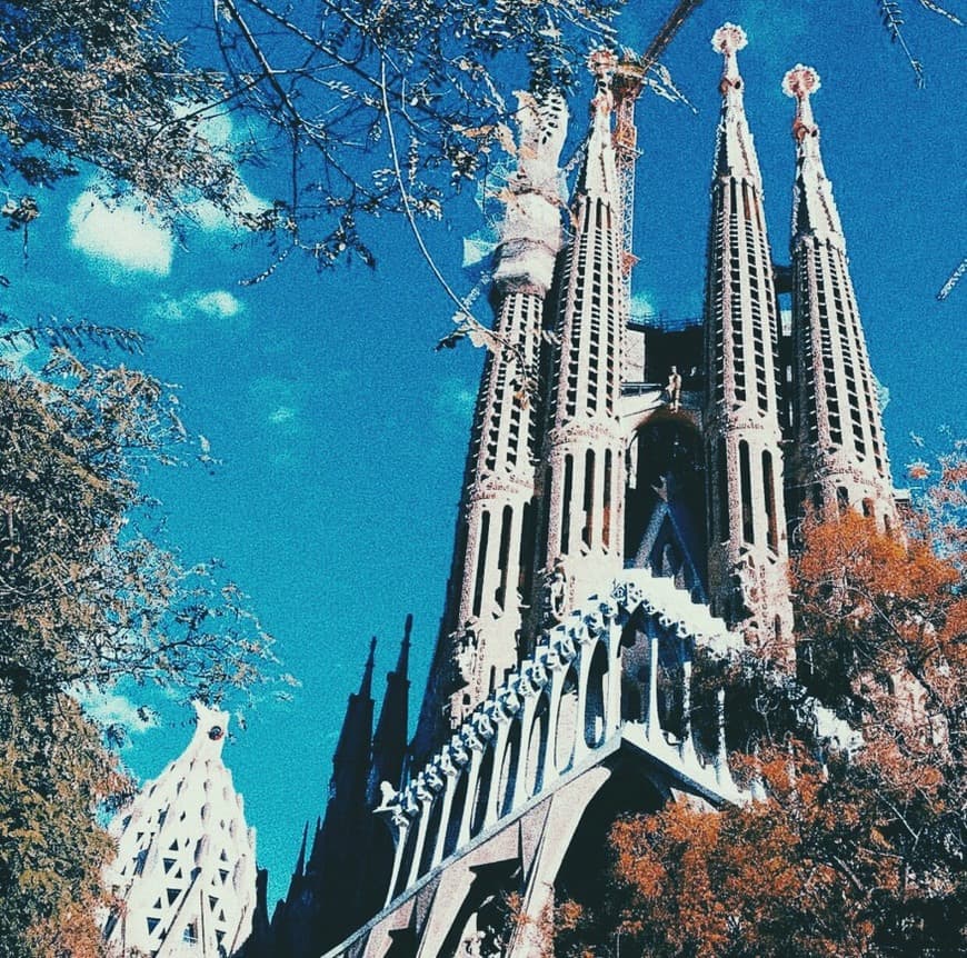 Lugar Basílica Sagrada Familia