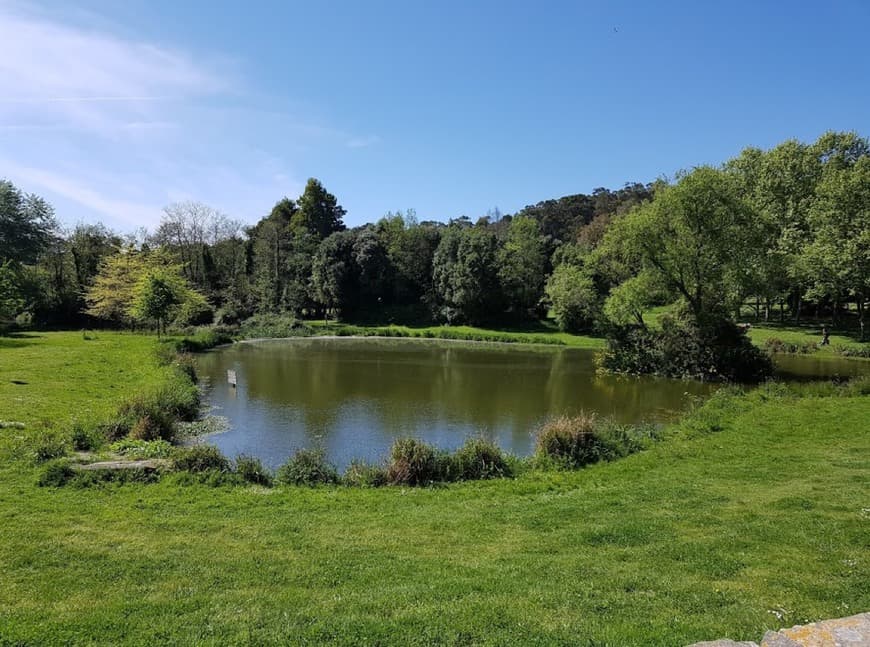 Place Parque da Cidade