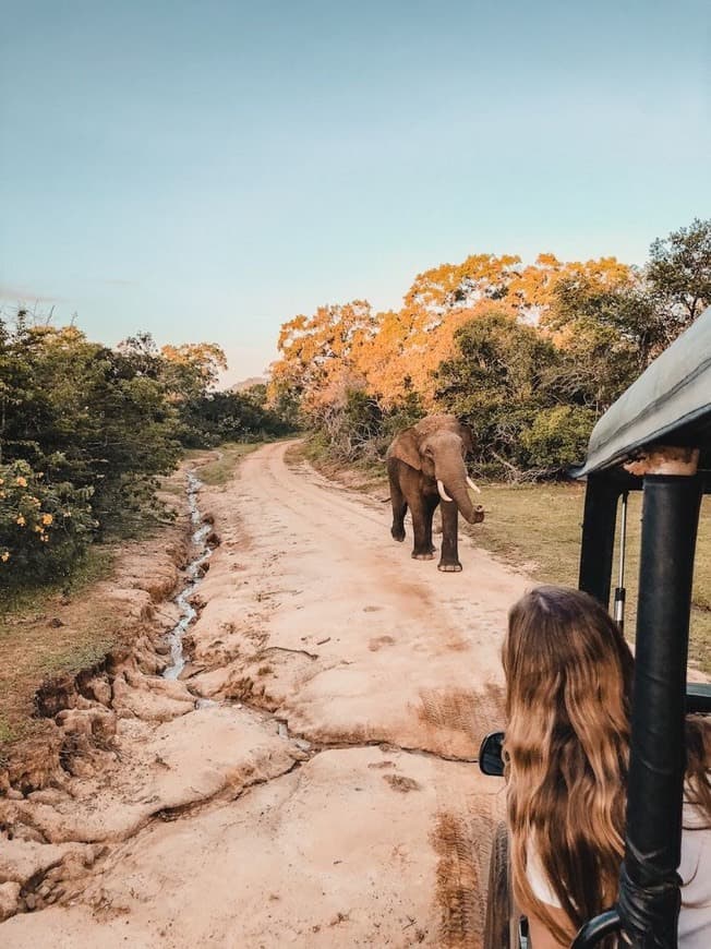 Place Sri Lanka