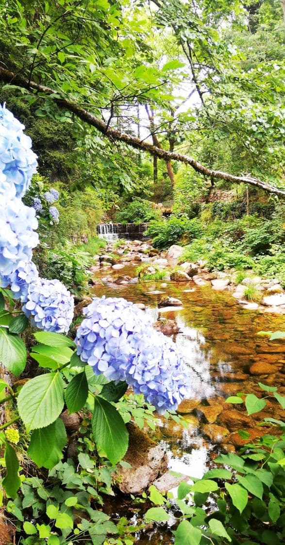 Lugar Termas do Gerês