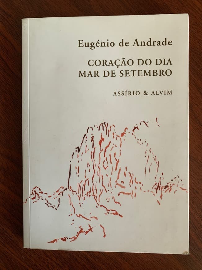 Libro Coração do dia