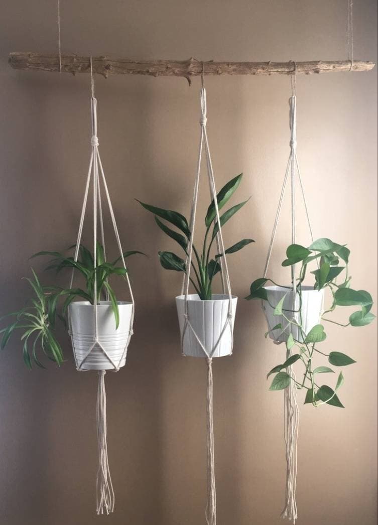 Moda Minimalist Macrame Plant Hanger