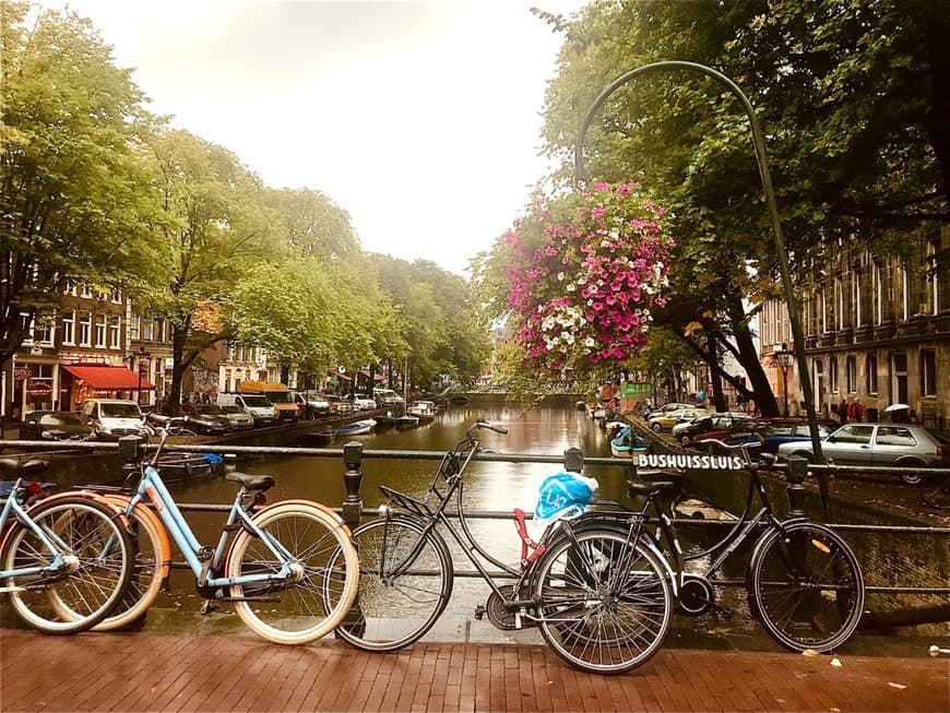 Lugar Canales de Ámsterdam