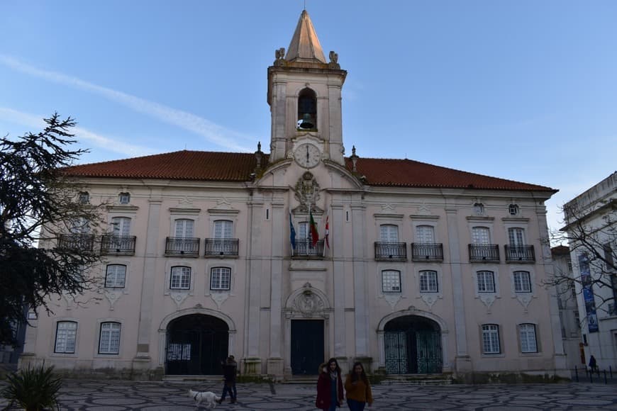 Lugar Câmara Municipal de Aveiro