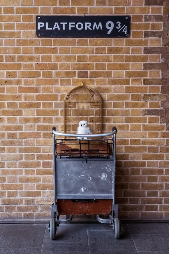 Place Platform 9 ¾