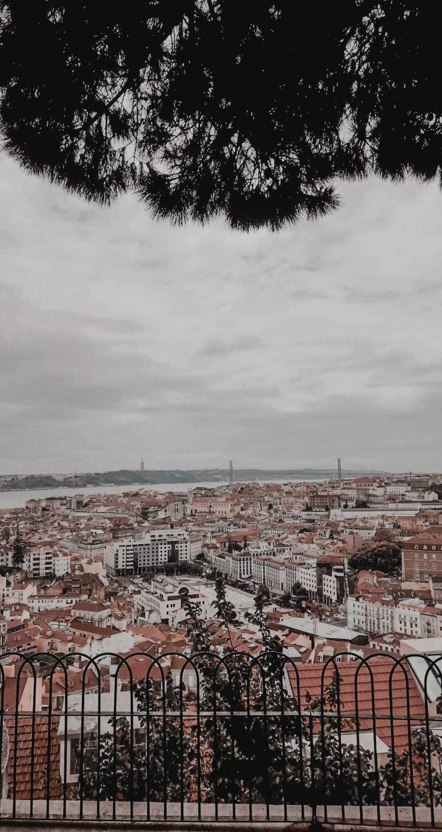 Lugar Miradouro da Nossa Senhora do Monte