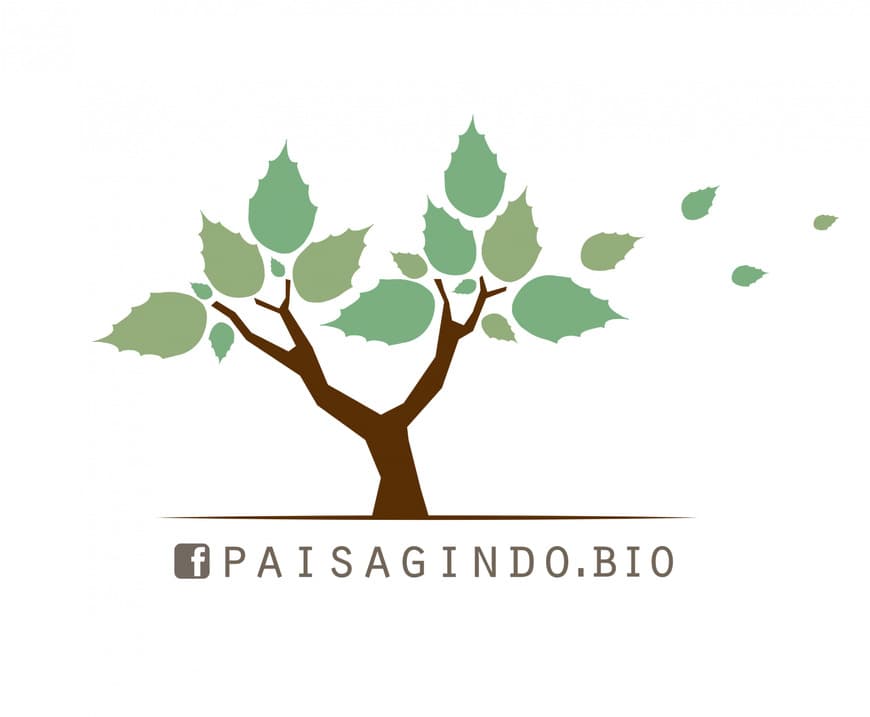 Moda Paisagindo bio